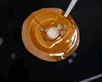 Japanese Engineers Harness Osmosis to Turn Wastewater into Clean Energy