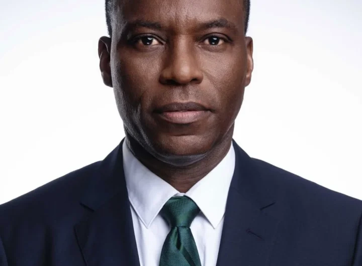 Seplat CEO Urges Nigeria to Take Charge of Global Energy Security
