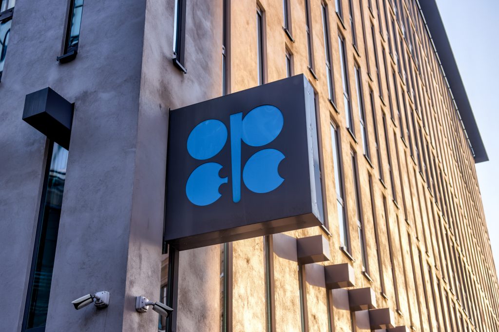 OPEC+ Likely to Maintain December Oil Targets Amid Ongoing Supply Disruptions